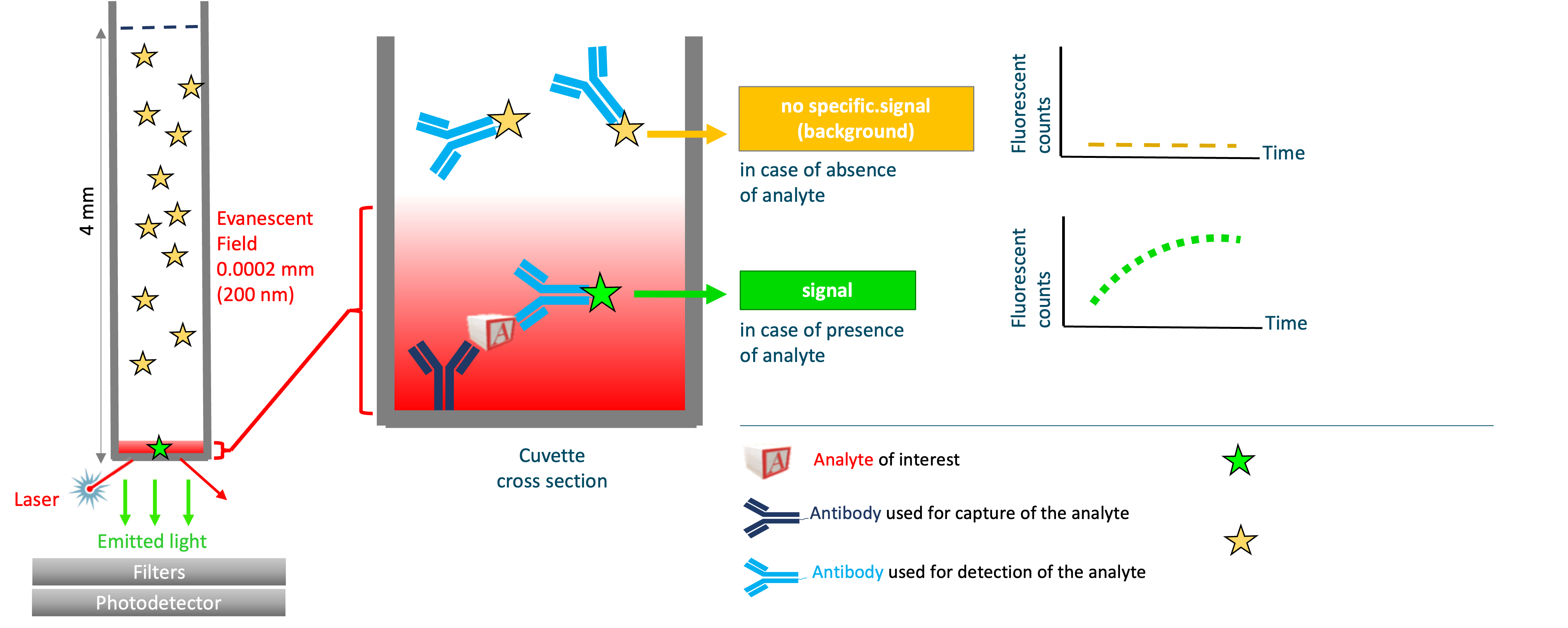 Odoo • Text and Image